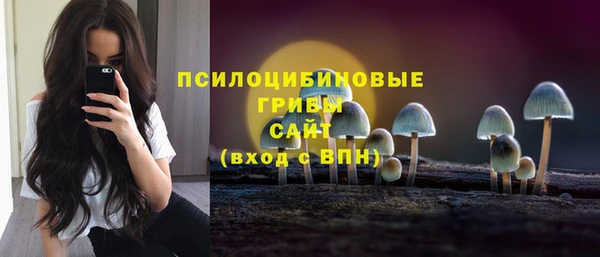 apvp Алексеевка