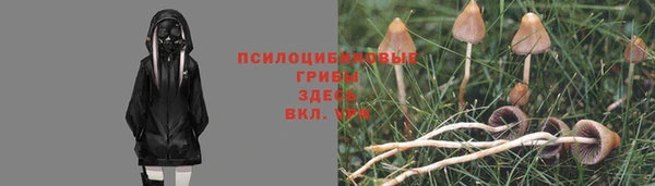 ГАЛЛЮЦИНОГЕННЫЕ ГРИБЫ Алзамай