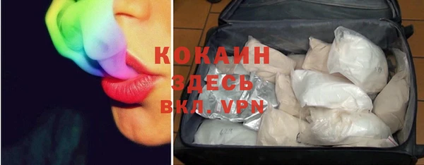 молекула духа Абинск