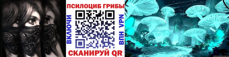 Псилоцибиновые грибы Cubensis  магазин продажи наркотиков  Весьегонск 